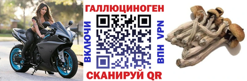 Псилоцибиновые грибы прущие грибы  Купить закладки  Поронайск 